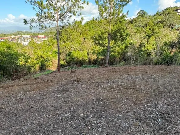 1915 Margarita Bo Robles #7, Aibonito, PR 00705