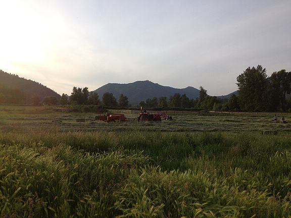 3rd image of 10239 Williams Hwy
