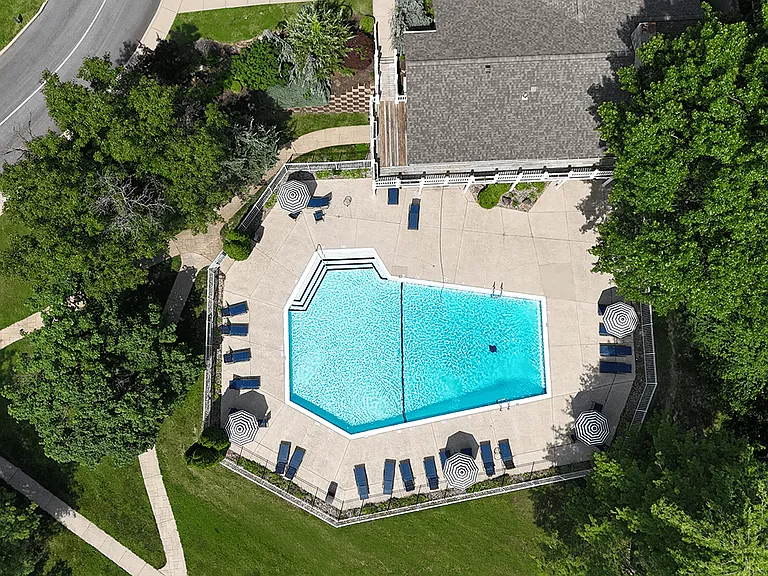 Mature Trees for Shade and Privacy