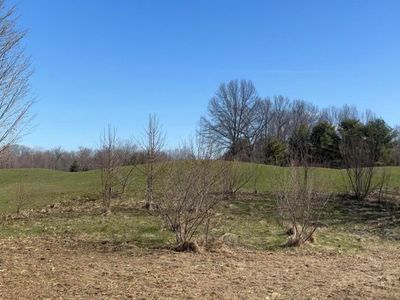 19529 Kluver Rd, New Buffalo, MI, 49117