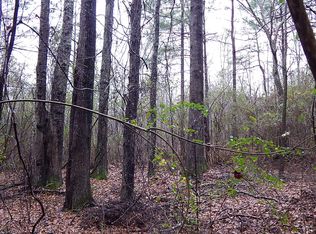 288 Lillie Patrick Rd, Gay, GA 30218