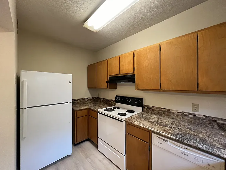 803 Kelly Dr — Photo 6