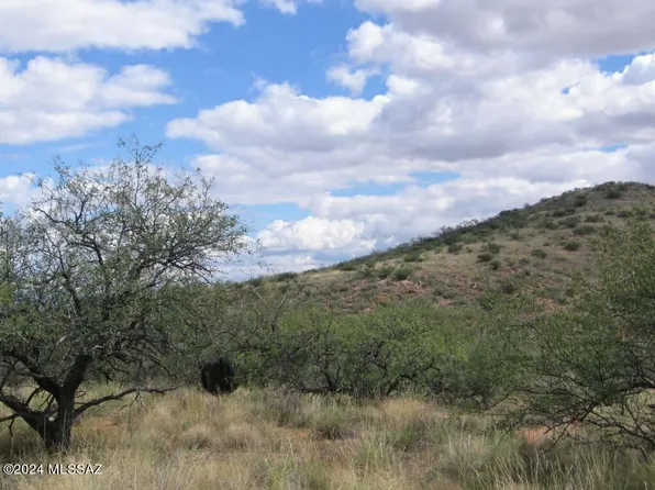 39/ACR E On Rambling Rd #100, Elfrida, AZ 85610