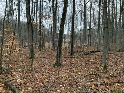 Bern Dr LOT 31, Reed City, MI, 49677