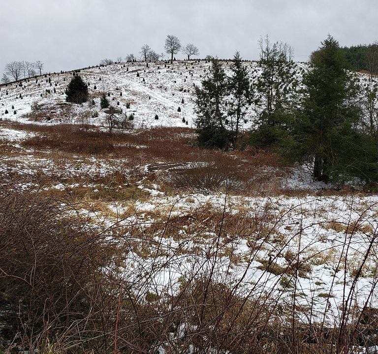 2nd image of Tbd Dolinger Rd.