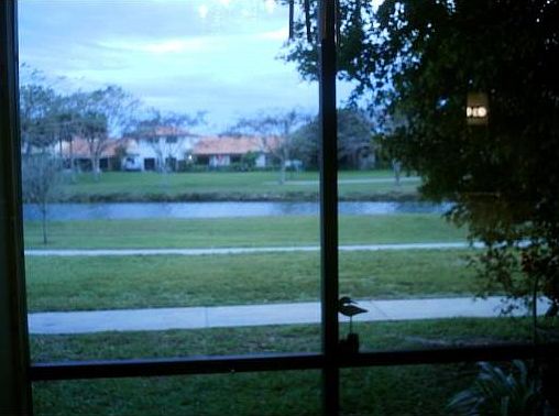 Garden and Lakeview