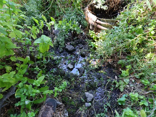 33901 Hawk Creek Ranch Road N, Davenport, WA 99122