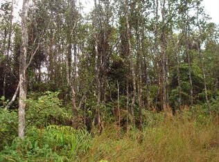 Omeka LOT 13, Volcano, HI 96785