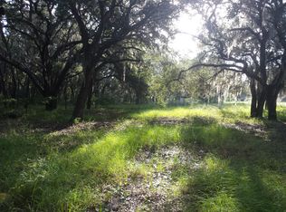 11301 Demille Rd, Polk City, FL 33868