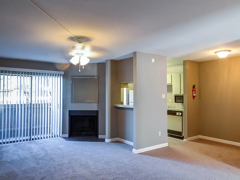 Wilshire Park Apartments — Photo 6