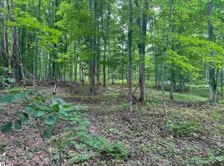 11599 S Tower Rd, Maple City, MI 49664