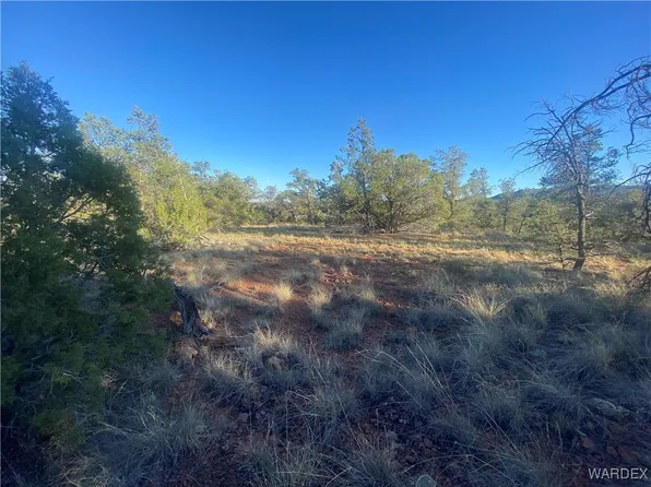 34440 W El Capitan Rd, Seligman, AZ 86337