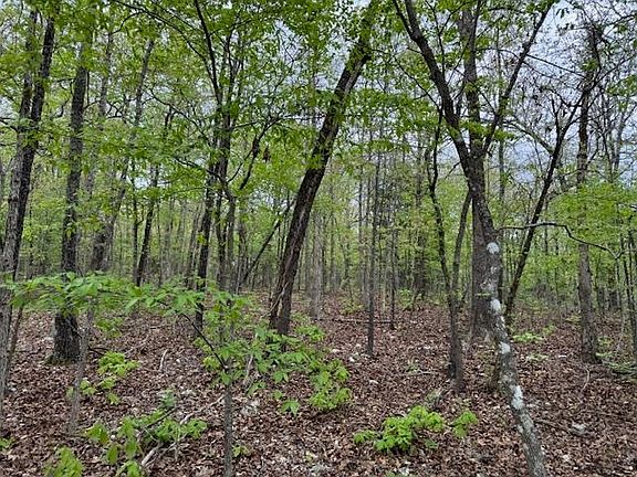 5th image of Wirth Rd