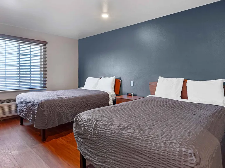 Studio Suite - 2 Full Beds