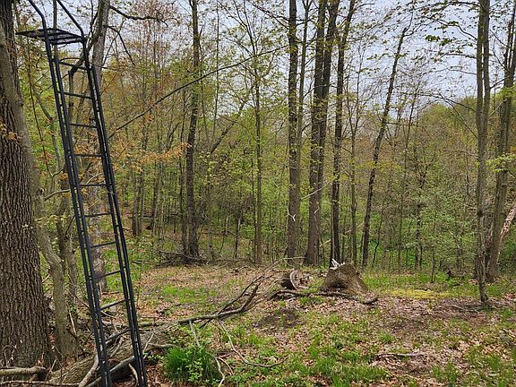 5th image of Sugar Creek Lot 36 Dr