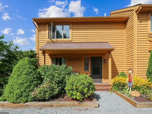 258 Deerfield Vlg #80, Davis, WV 26260
