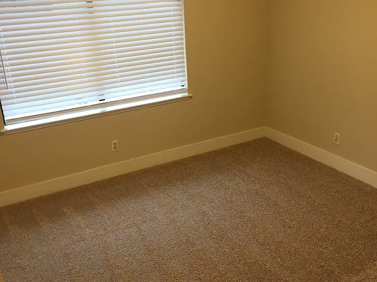 110 Rock Ravine Ct — Photo 17