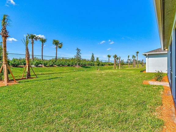 View of Backyard