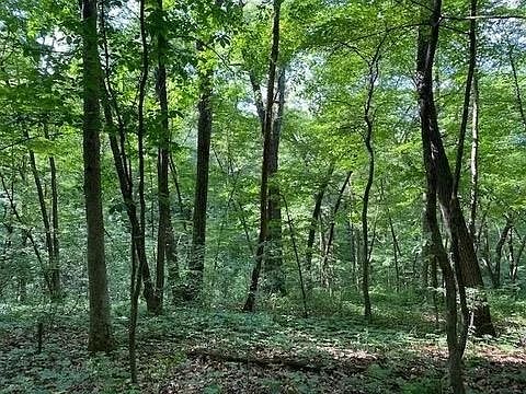 2nd image of 12 Wooded Acres