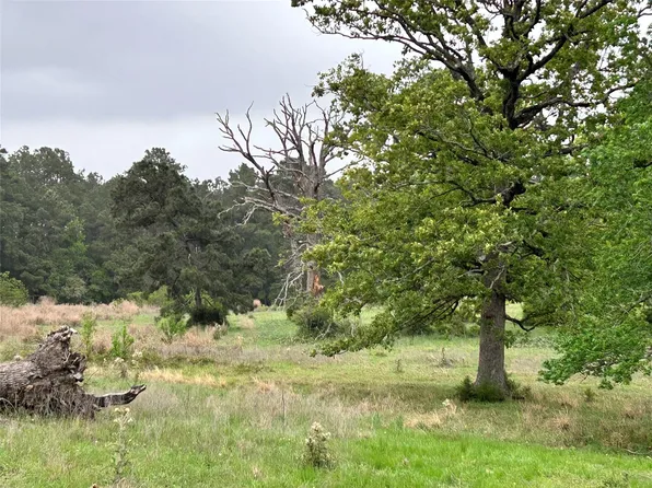 LOT 203 Overhill Ct, Hillister, TX 77624