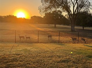 317 Home Place Ln, Salado, TX 76571