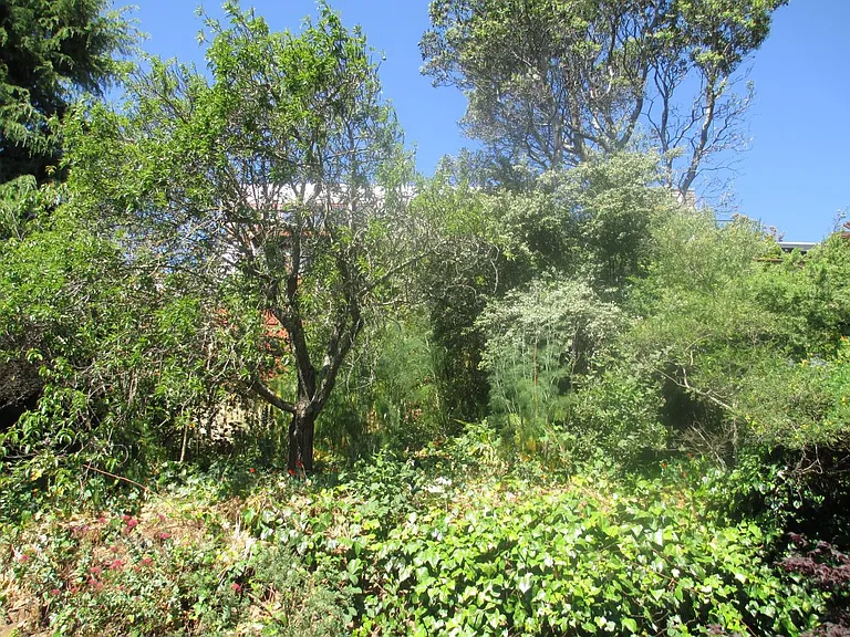 876 Castro St — Photo 30