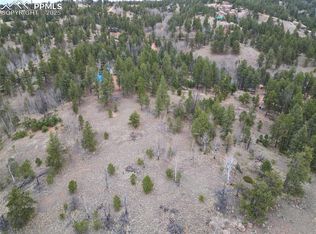 475 Pinon Ln, Florissant, CO 80816