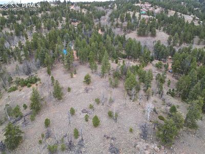 475 Pinon Ln, Florissant, CO, 80816