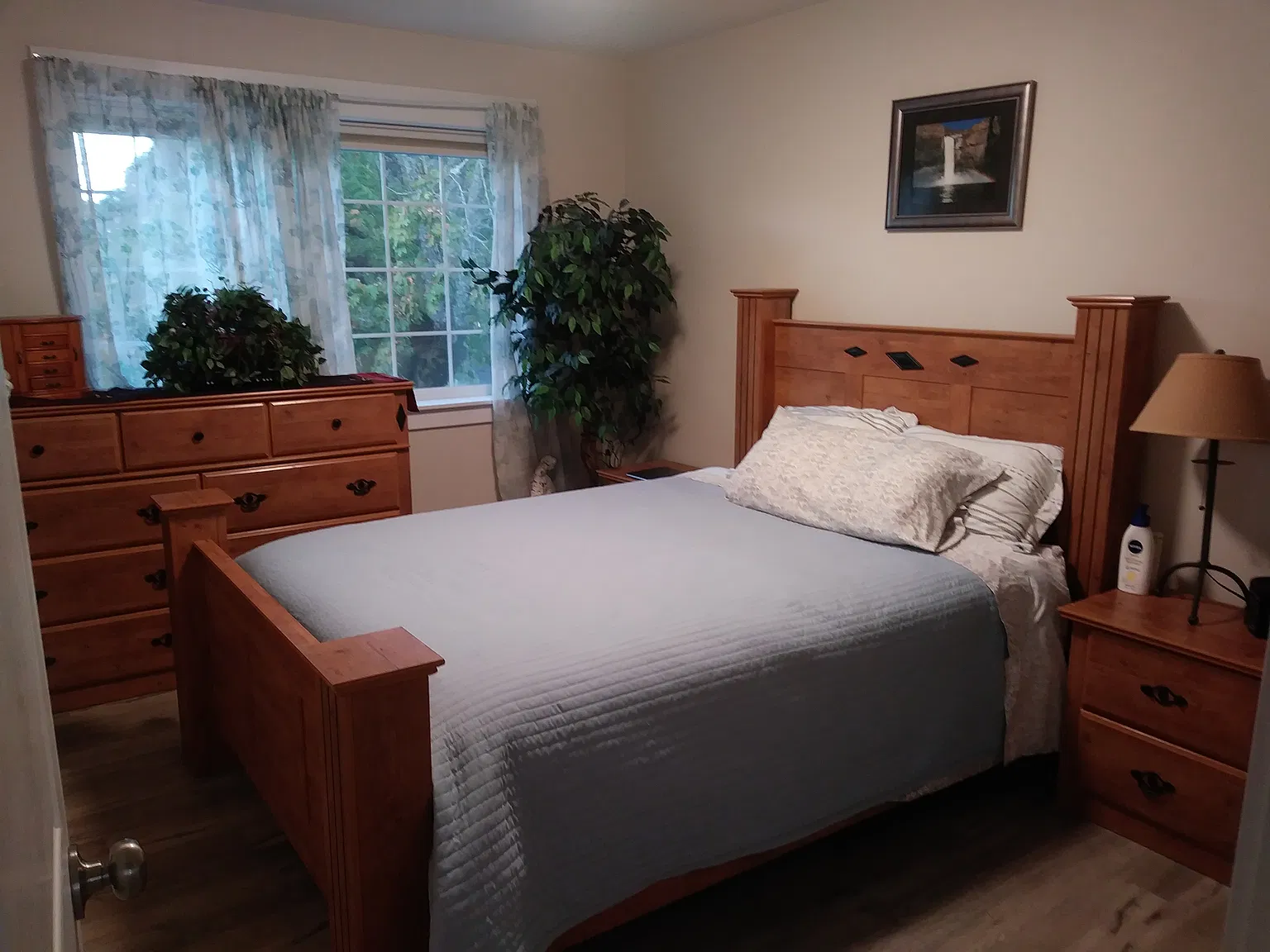 1 bed, 800 sqft, $1,675 — Photo 3