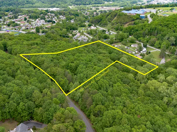 Woodland Ave, Buena Vista, VA 24416