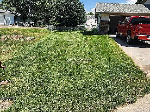 North side of house yard 