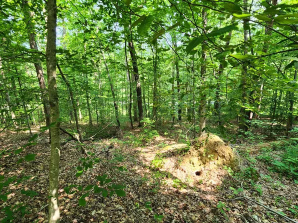 0 Henry Rd, Whitwell, TN 37397