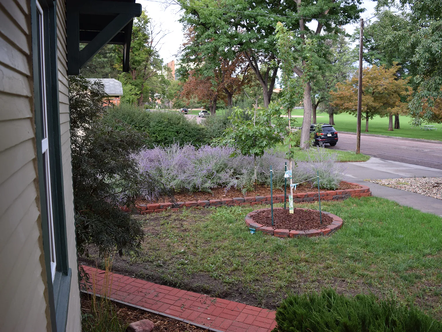 2 bed, 900 sqft, $1,800 — Photo 2