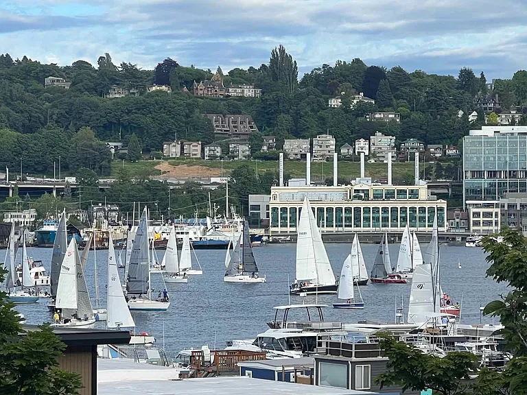 View from the deck