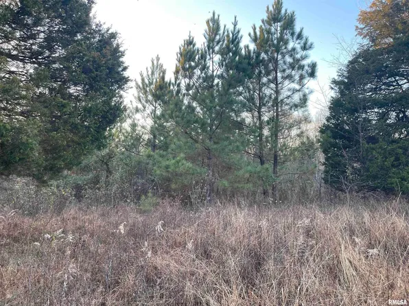 0 Raum, Golconda, IL 62938