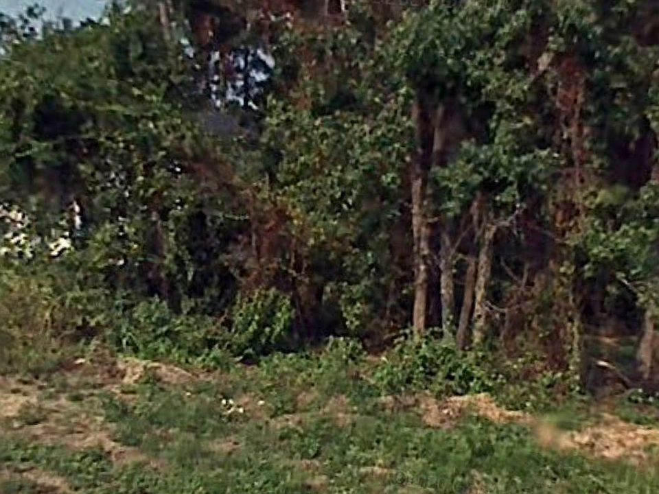 1st image of 8733 Windsor Lake Blvd