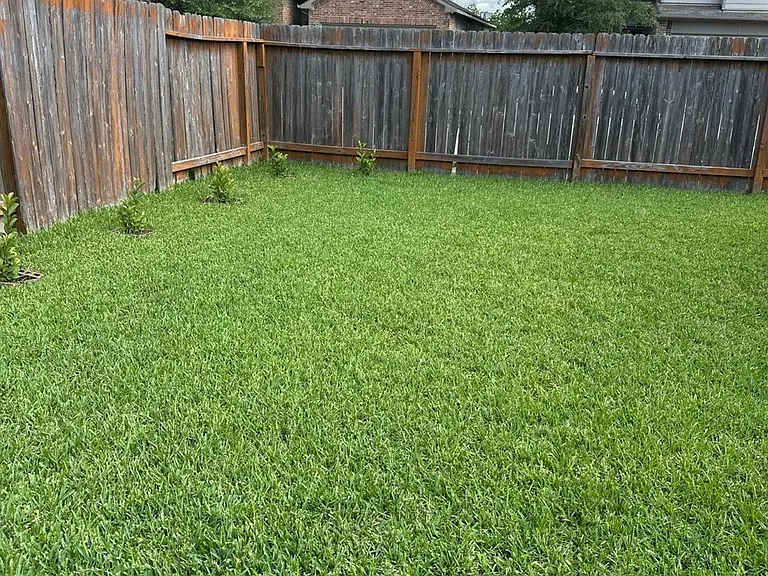 2819 Cold River Dr — Photo 12