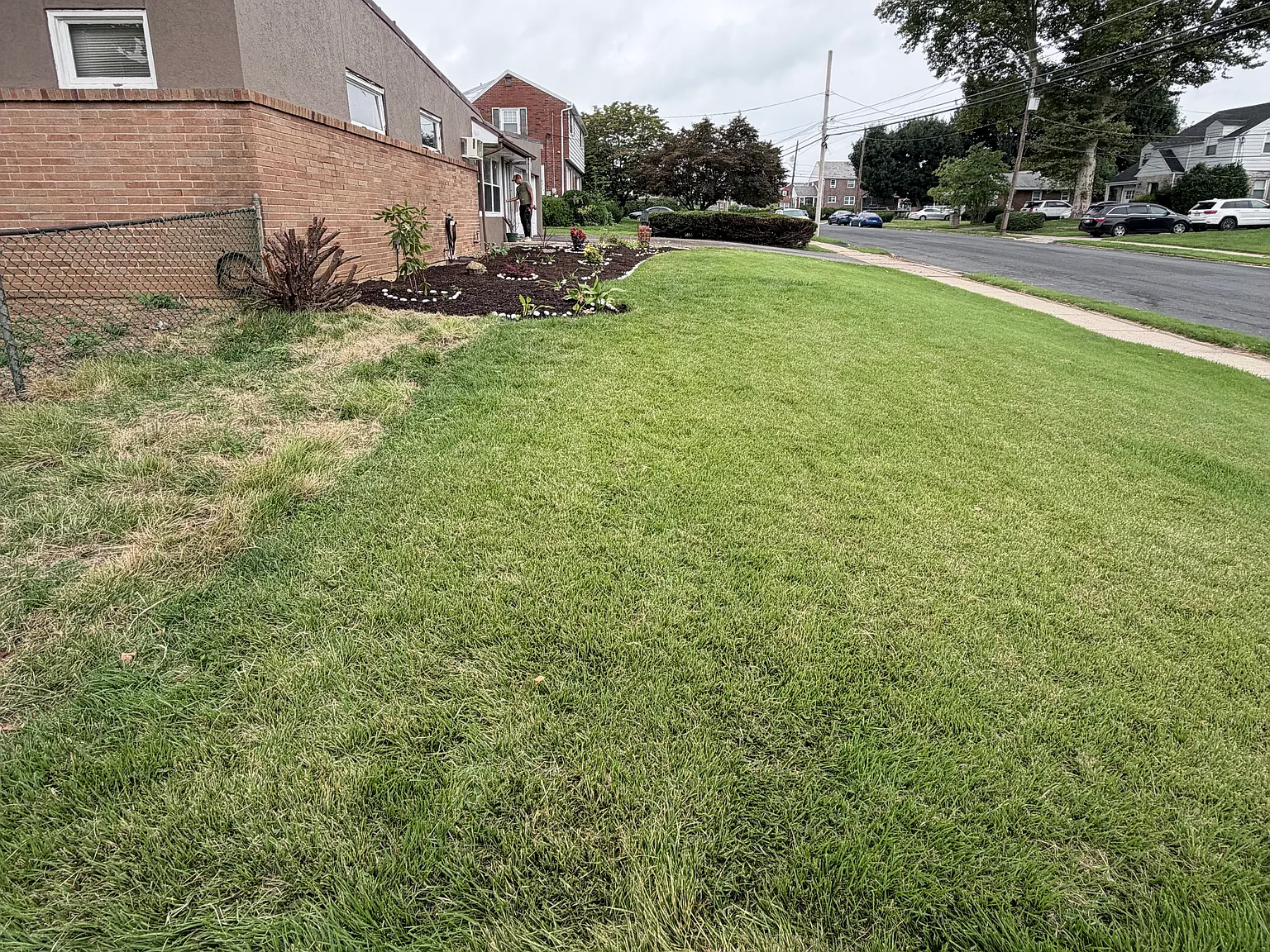 3 bed, 1.5 bath, 1442 sqft, $2,500 — Photo 3