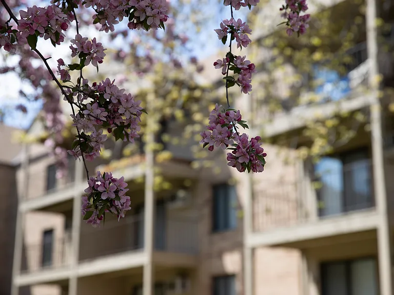 Eagle Ridge Apartments — Photo 9