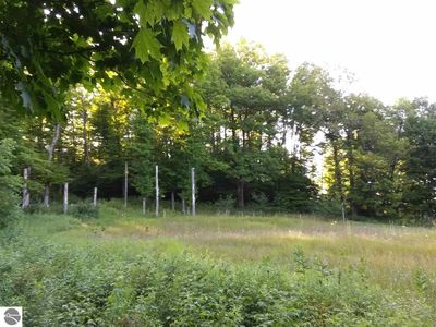 1555 N Haze Rd, Honor, MI, 49640
