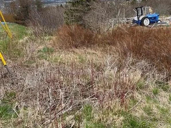 129A English Hill Road, Carbonear, NL A1Y1A8