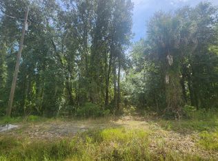 119 Laisy Dr, Georgetown, FL 32139