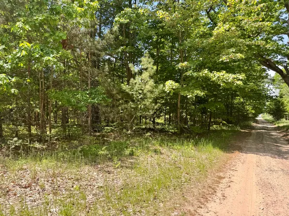 Par 5 Needles Rd, Indian River, MI 49749