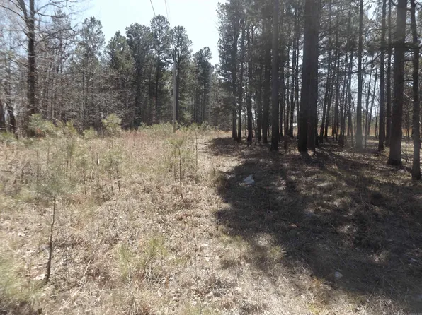 (undisclosed Address), Midway, AR 72651