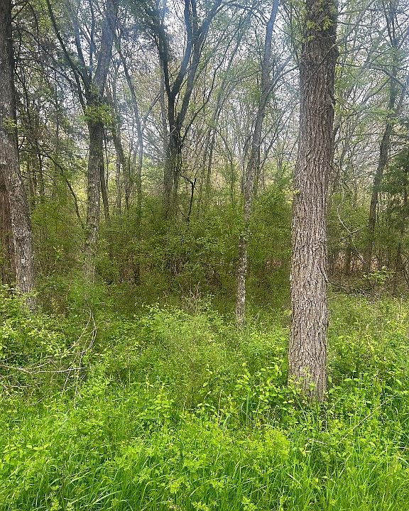 1st image of County Road 2325