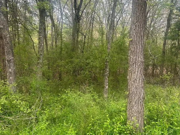 County Road 2325, Mount Pleasant, TX 75455