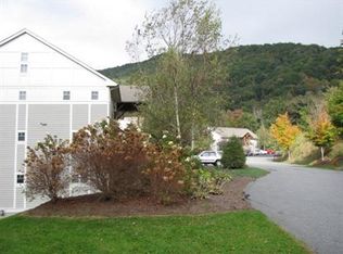 143 Hawks Peak Ln APT 111, Seven Devils, NC 28604