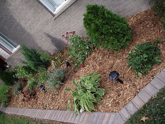 Garden with new pavers and new lights