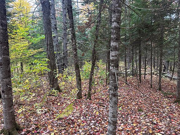 5th image of Lot 6A Ridge Road
