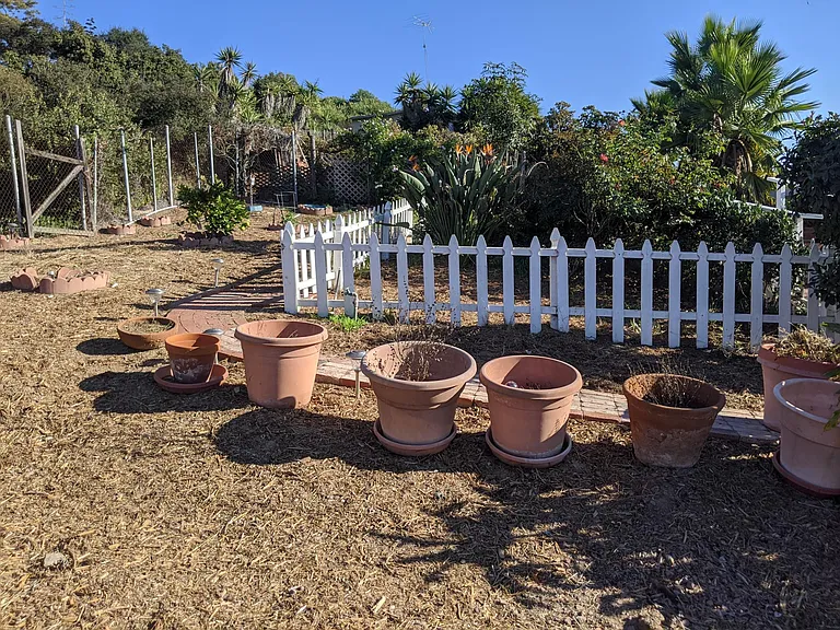 Huge open yard!